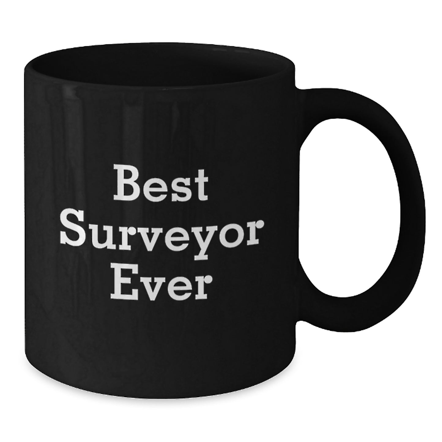 Funny Surveyor Quotes Black Coffee Mugs Gifts from Best Surveyor Ever for Surveyor Graduation Unique Gifts - Additional