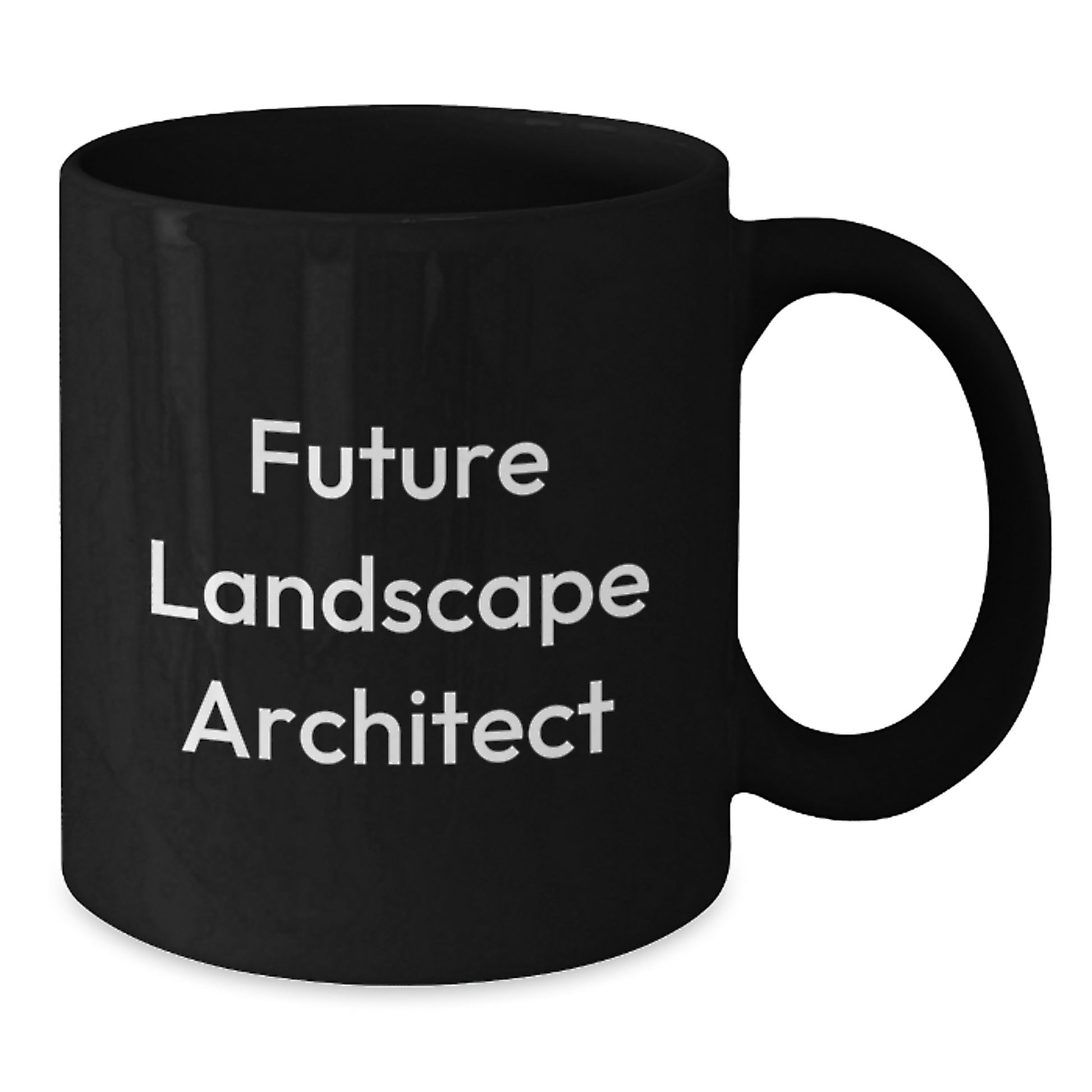 Funny Future Landscape Architect Gifts from Friends, Black Coffee Mugs with Inspirational Quotes for Landscape Architects, Christmas Unique Coffee Mugs for Men - Additional