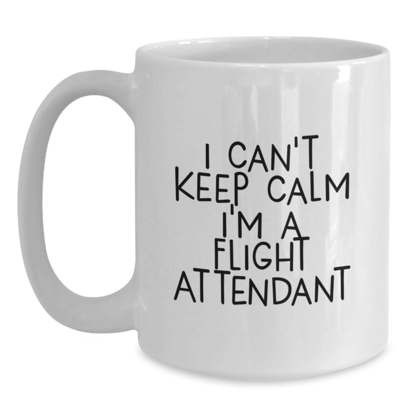 Funny Flight Attendant Gifts from Friends for Christmas Unique - Main