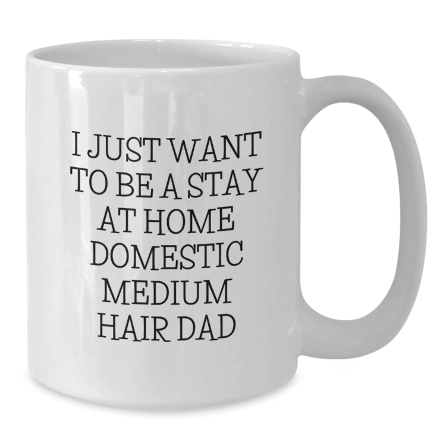 Domestic Medium Hair Dad Christmas Unique Gift Ideas - Funny White Coffee Mug for Stay at Home Dad - Additional