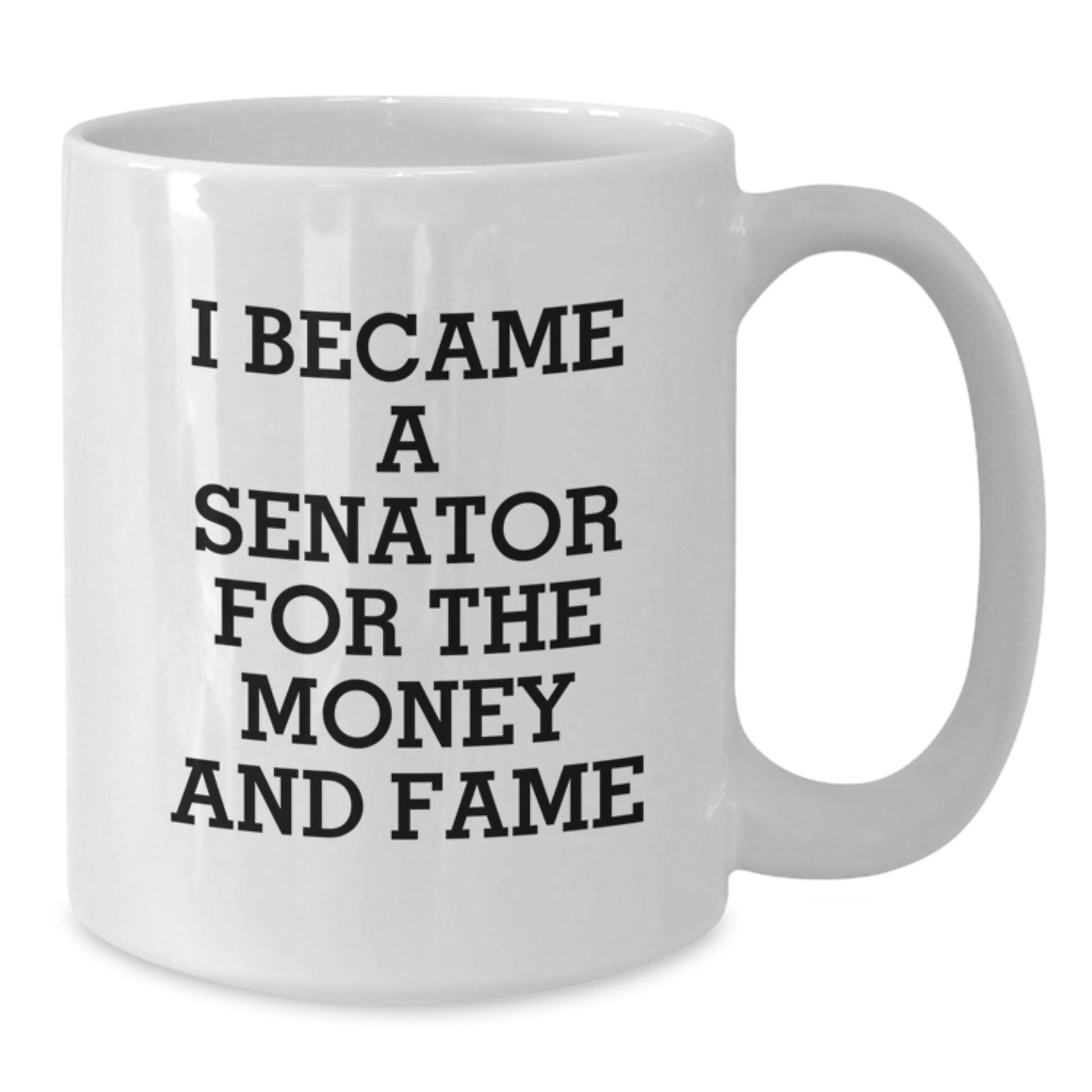 Funny Senator Gifts, Unique White Coffee Mug, Christmas Memorable Presents for Senator - Additional