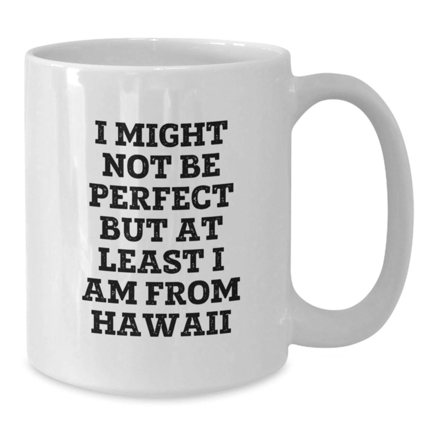 Hawaii Gifts from Friends Unique White Coffee Mugs for Men Women Christmas Unique Gifts I Might Not Be Perfect - Additional