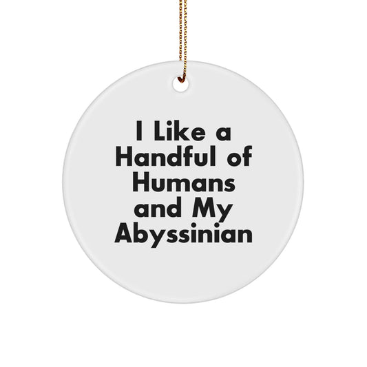 Abyssinian Cat Lover's Delight, Funny Quote Gifts for Men, Women, or Friends, White Circle Ornament with Gold Cord, Perfect for Christmas Unique Gifts from Family - Victory Thru Vision