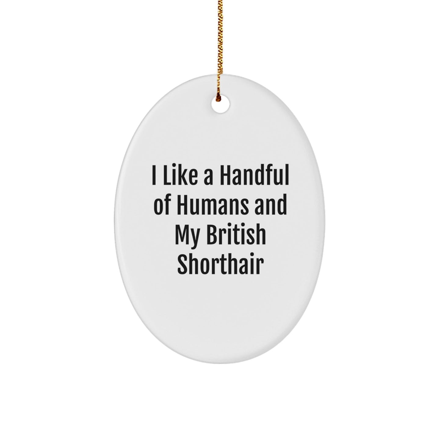 British Shorthair Cat Gifts, Funny Quote Oval Ornament for British Shorthair Cat Lovers, Gifts from Friends for Christmas Unique Gifts - Victory Thru Vision