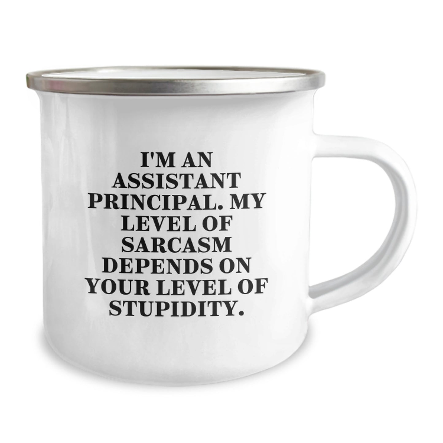 Funny Assistant Principal Gifts - Camping Mug, Sarcastic Humor for Assistant Principals, Christmas Unique Presents from Friends to Assistant Principals - Image 2