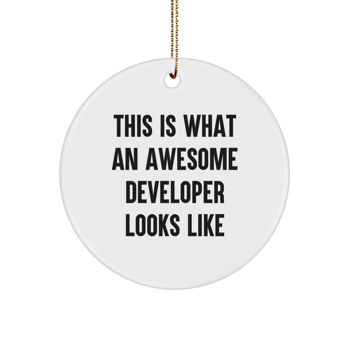 Funny Developer Circle Ornament, Gifts from Friends to Awesome Developers, Christmas Unique Ornaments for Developer, This Is What An Awesome Developer Looks Like - Image 1