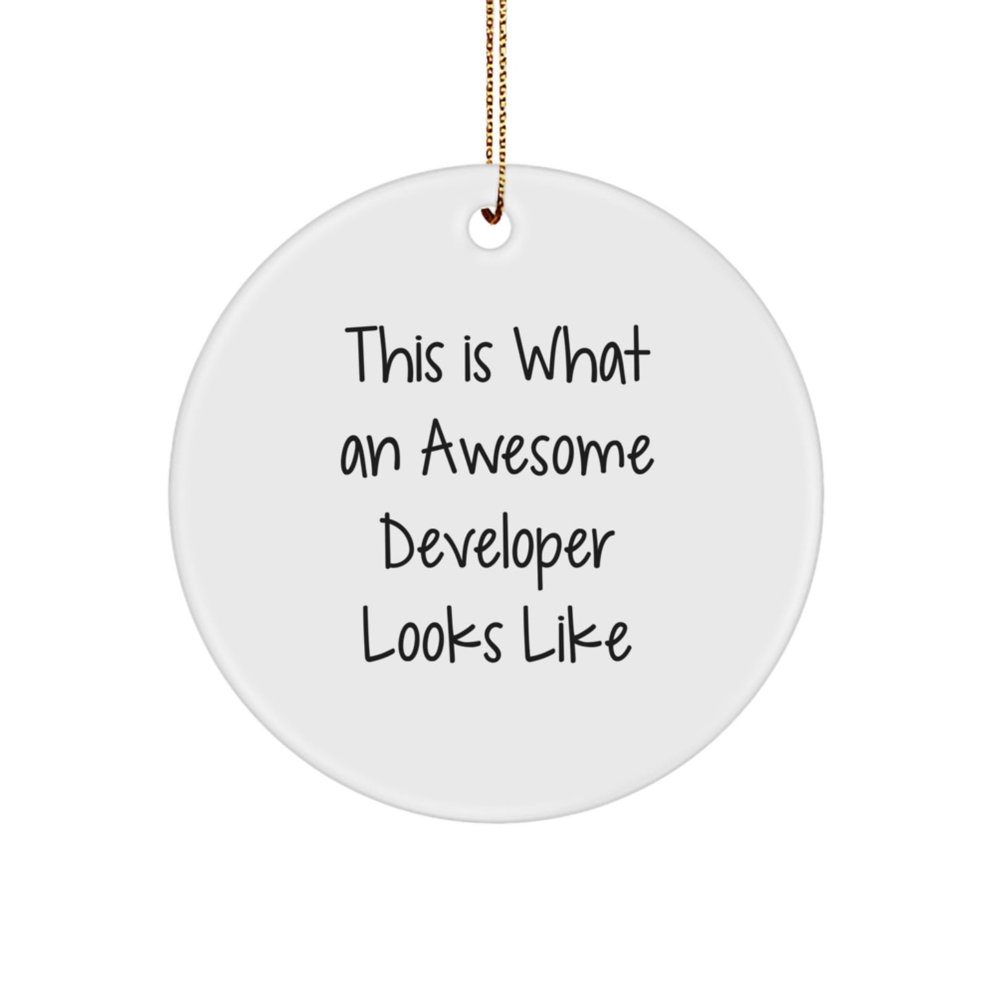Funny Developer Gifts for Men, Developer Circle Ornament, This Is What An Awesome Developer Looks Like, Christmas Unique Gifts from Friends - Image 1