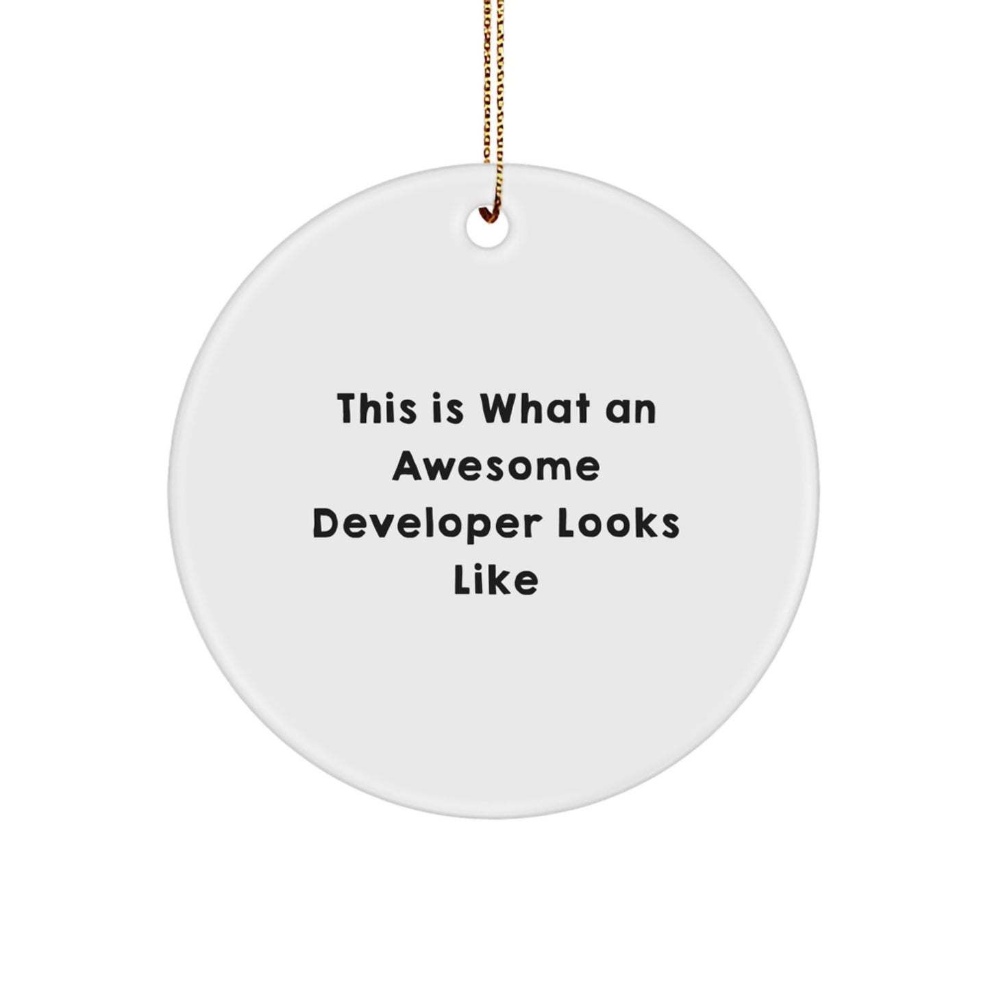 Funny Developer Gifts from Friends, This Is What An Awesome Developer Looks Like Circle Ornament, Christmas Unique Gifts for Developer - Image 1
