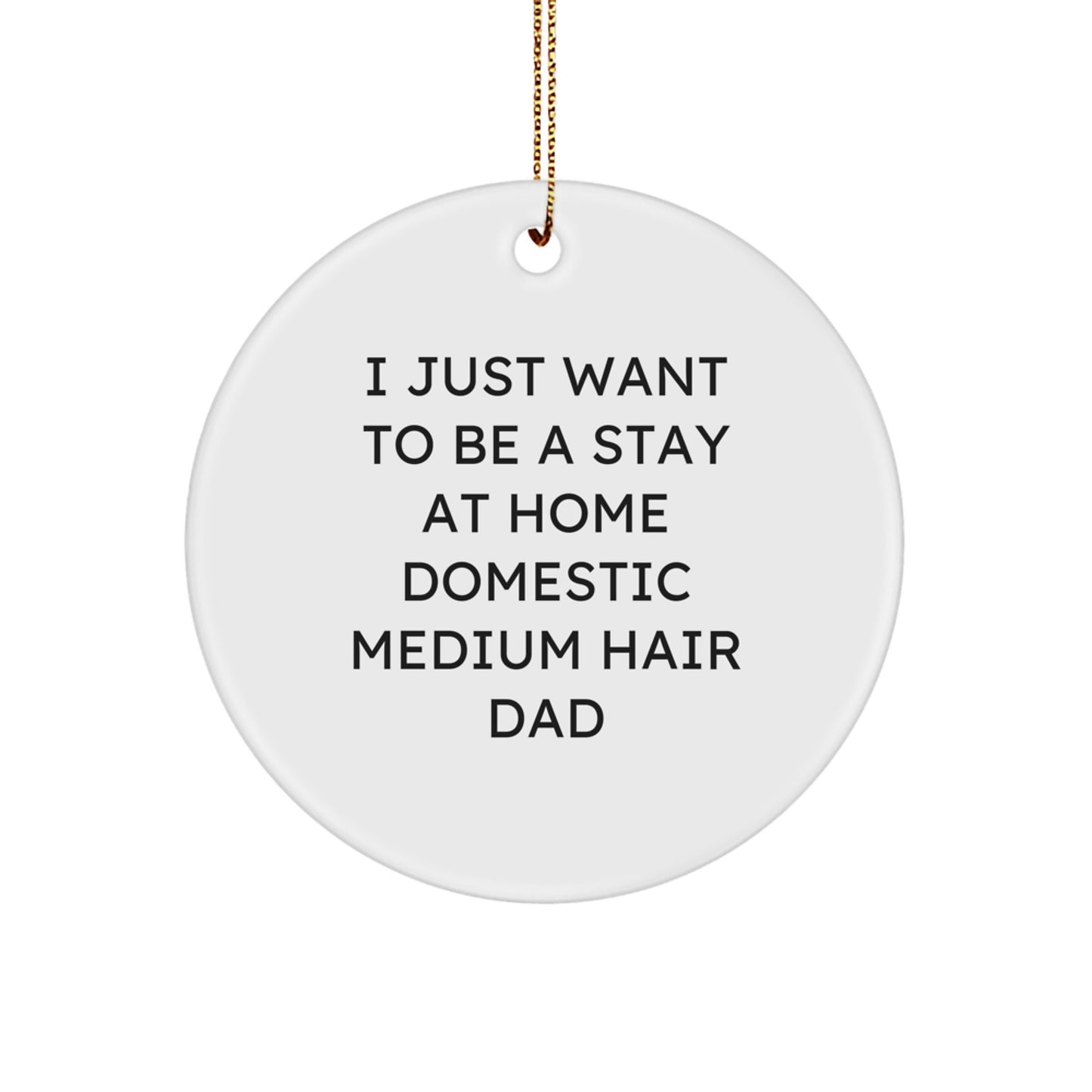 Funny Domestic Medium Hair Gifts from Men to Friends, Christmas Unique Circle Ornament for Stay at Home Dad 'I Just Want To Be' Decorations - Image 1