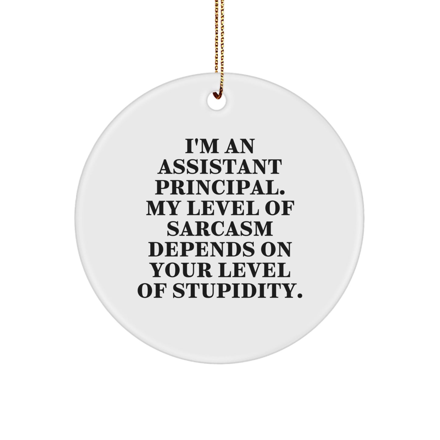 Funny Assistant Principal Gifts for Men - I'm An Assistant Principal Circle Ornament, White Christmas Unique Gifts from Friends, Coworkers, Family - Image 1