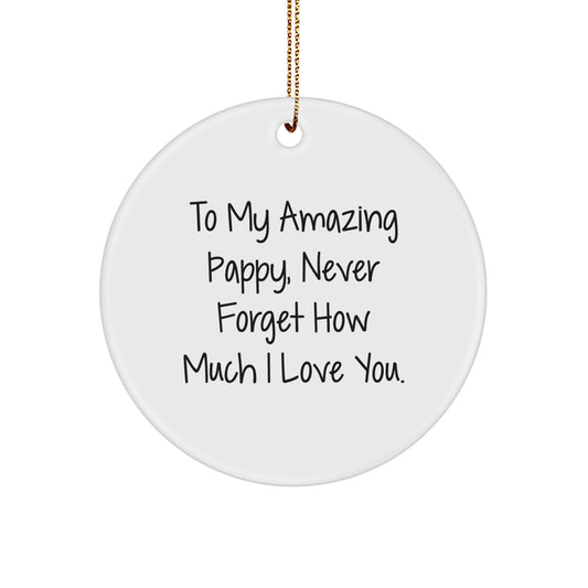 Funny Pappy Gifts from Men, Women, Friends to Our Amazing Pappy, Circle Ornament for Christmas Unique Gifts - Image 1