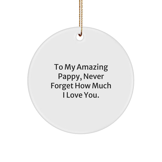 Funny Gifts for My Amazing Pappy, Heartfelt Circle Ornament with Inspirational Quote, Gifts from Family to Pappy - Image 1