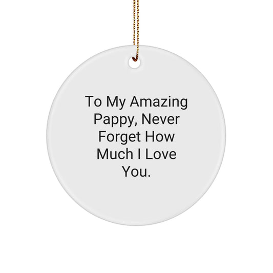 Funny Pappy Gifts from Friends and Family - To My Amazing Pappy Never Forget How Much I Love You - Circle Ornament for Christmas Unique Gifts - Image 1