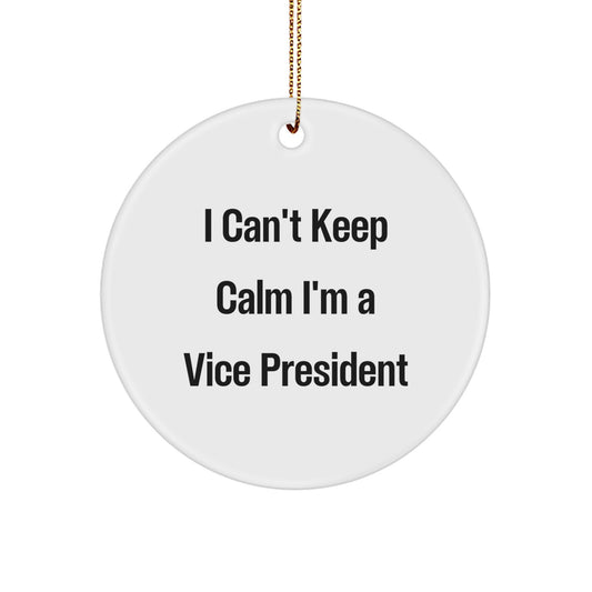 Funny Vice President Gifts for Friends, Coworkers, or Family - I'm A Vice President Circle Ornament for Christmas Unique Gifts - Image 1