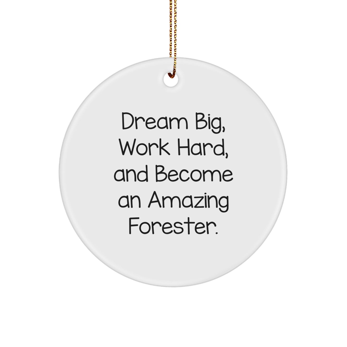 Funny Forester Gifts from Friends for Men - Dream Big Work Hard Circle Ornament, Christmas Unique Decorations - Image 1