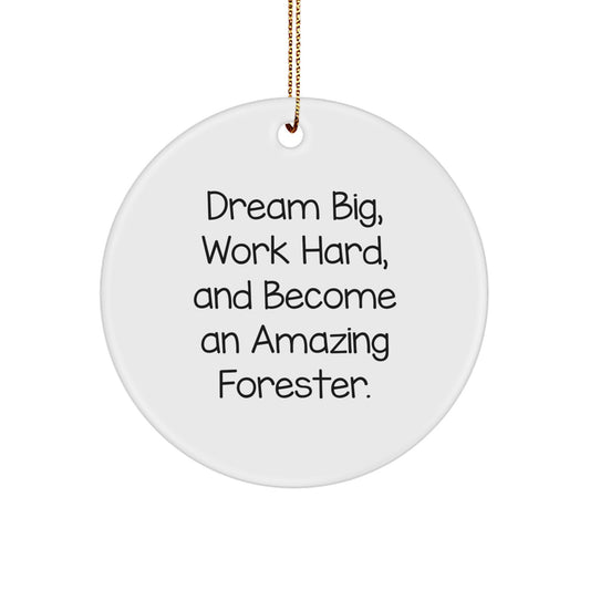 Funny Forester Gifts from Friends for Men - Dream Big Work Hard Circle Ornament, Christmas Unique Decorations - Image 1