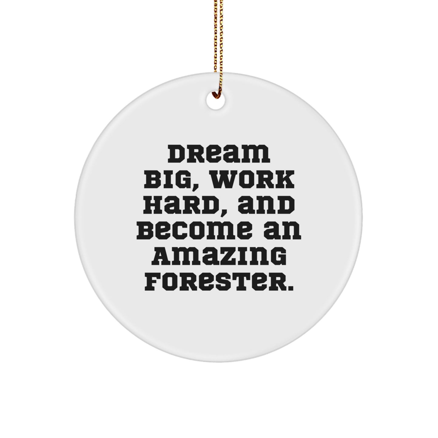 Funny Forester Gifts from Men to Foresters, Inspirational Circle Ornament for Christmas Unique Gifts, 'Dream Big Work Hard' Quote - Image 1