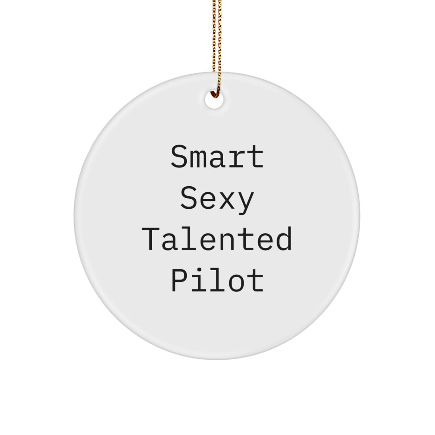 Smart Sexy Talented Pilot Christmas Unique Gifts from Family for Pilot Friends - Image 1