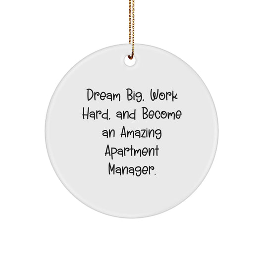 Dream Big, Work Hard, Amazing Apartment Manager Circle Ornament, Funny Quote Gifts from Friends to Family for Christmas, 2.75'' Tall - Victory Thru Vision