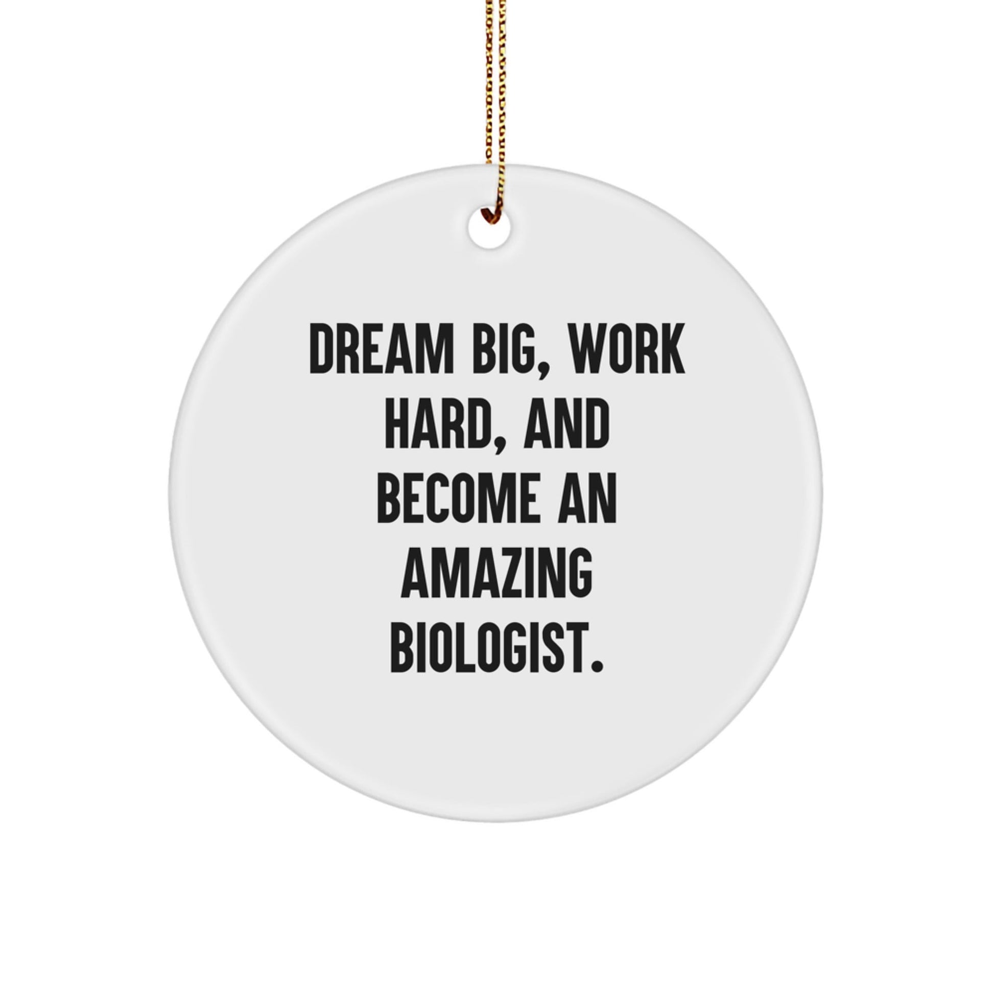 Funny Biologist Gifts, Inspirational Quote Circle Ornament, Gifts from Friends for Men, Unique Christmas Biologist Decorations - Victory Thru Vision
