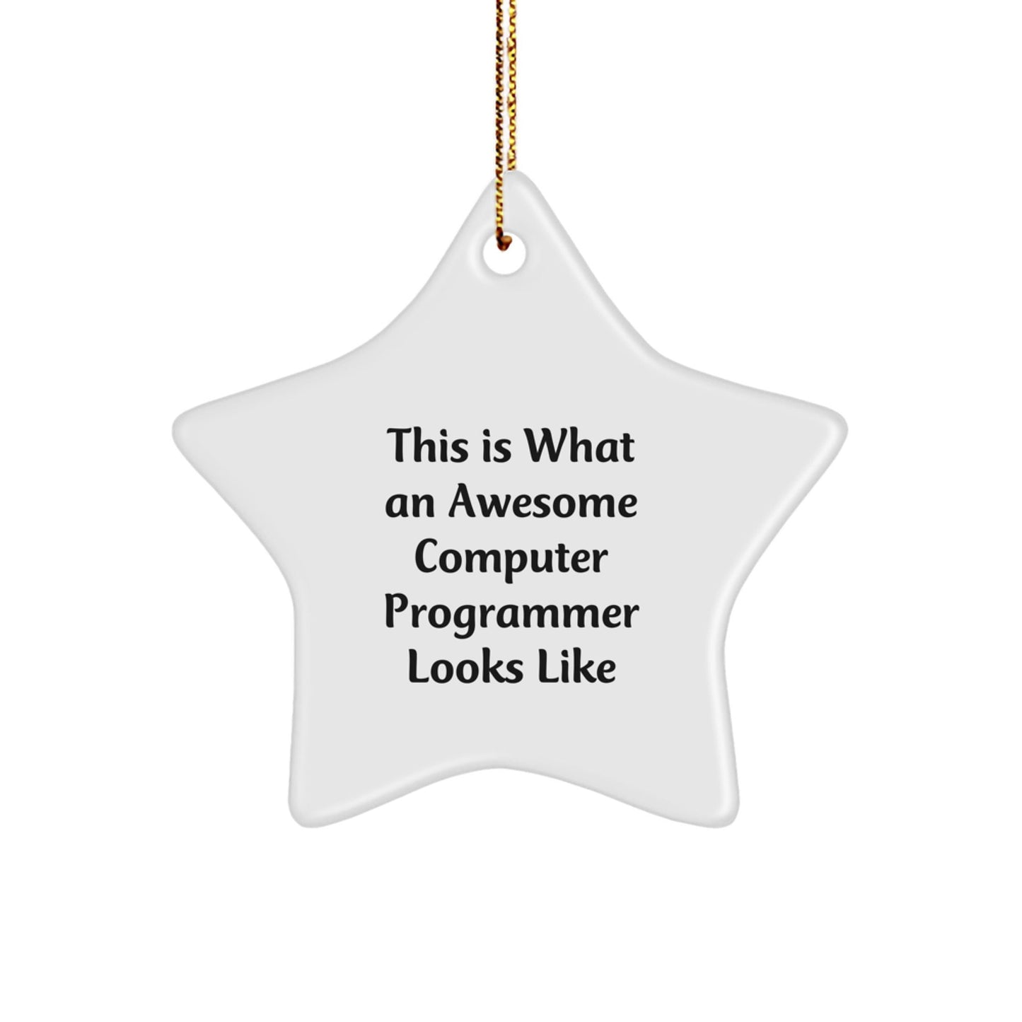 Funny Computer Programmer Gifts from Friends - This Is What An Awesome Computer Programmer Looks Like, Star Ornament, Christmas Unique Gifts for Men, Women, or Coworkers - Victory Thru Vision