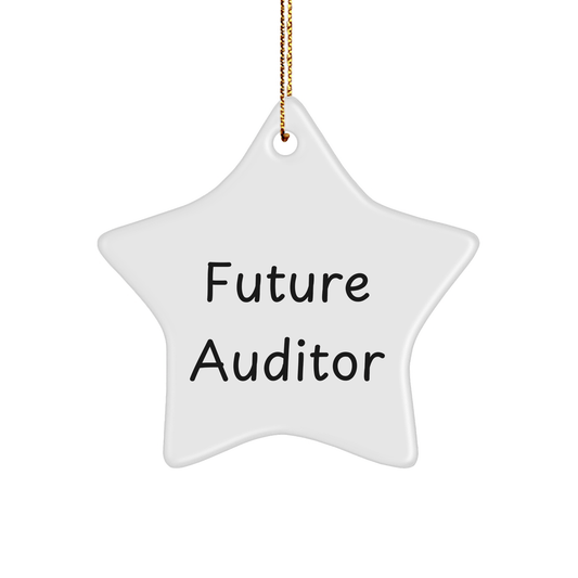 Funny Future Auditor Star Ornament Gifts from Men to Auditor for Christmas - 'Believe You Can and You're Halfway There' Quote - Victory Thru Vision