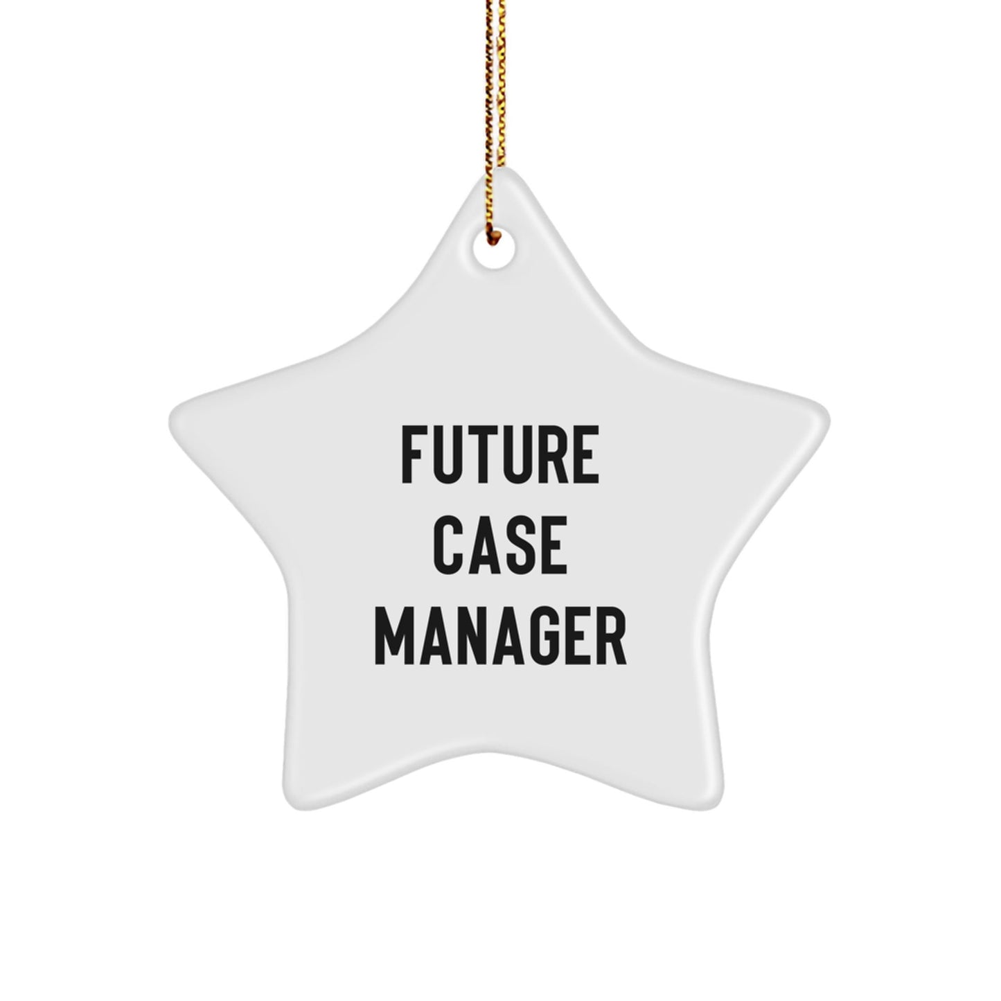 Funny Future Case Manager Star Ornament, Gifts from Family, Friends or Coworkers, Inspirational Christmas Decorations - Victory Thru Vision