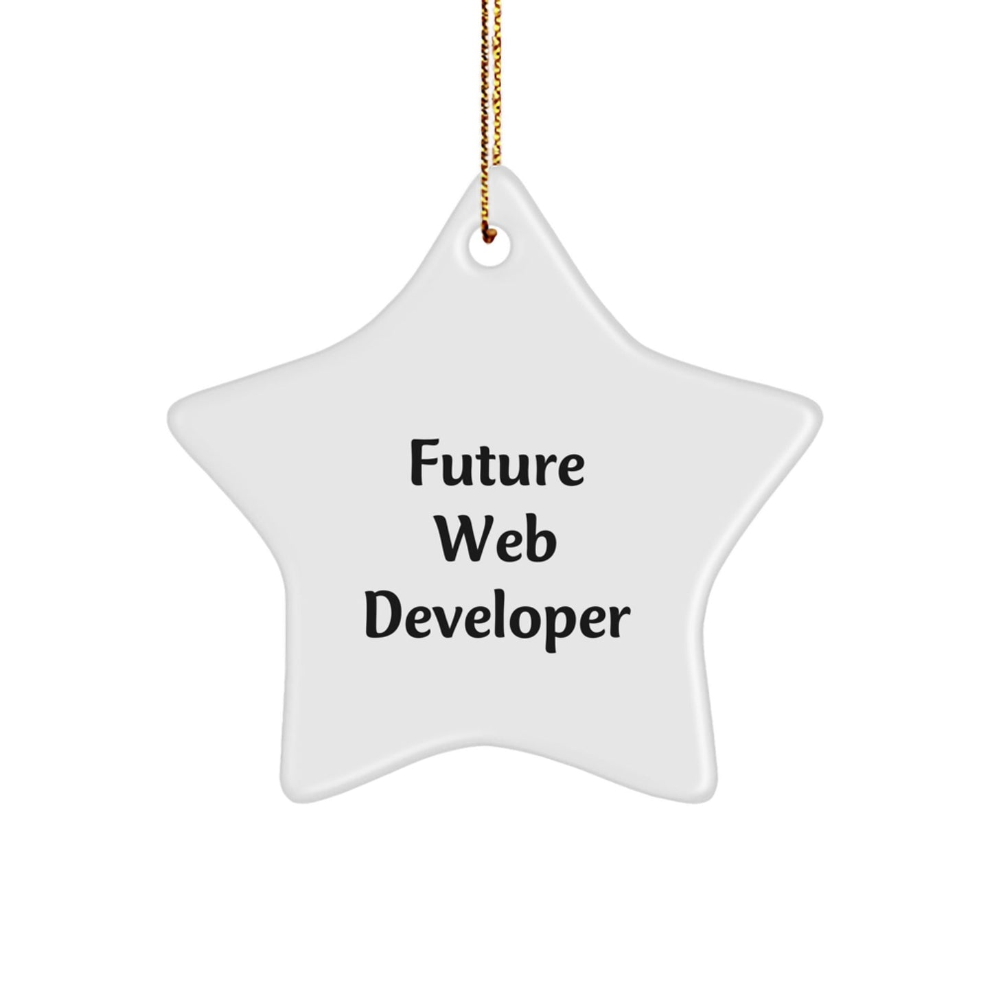 Funny Future Web Developer Star Ornament, Gifts from Family, for Web Developer, Unique Christmas Unique Gifts, Inspirational Quote - Victory Thru Vision