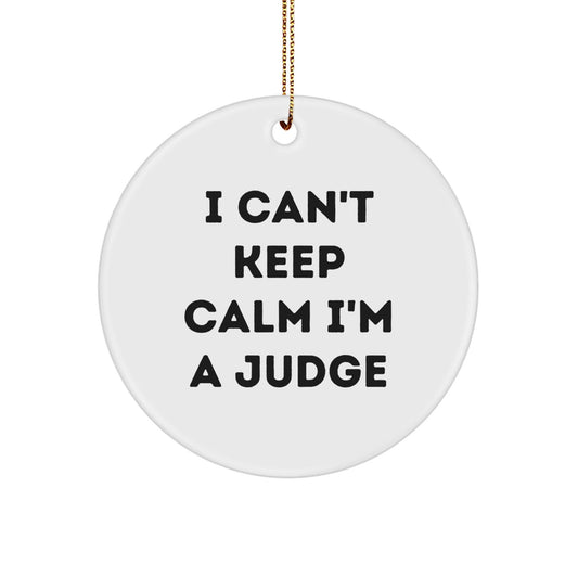 Funny Judge Gifts for Friends - I Can't Keep Calm I'm A Judge Circle Ornament, Unique Christmas Unique Gift for Judge, Judge Accessories, Judge Decor, Judge Office Decor, Gifts from Friends to Judge - Victory Thru Vision