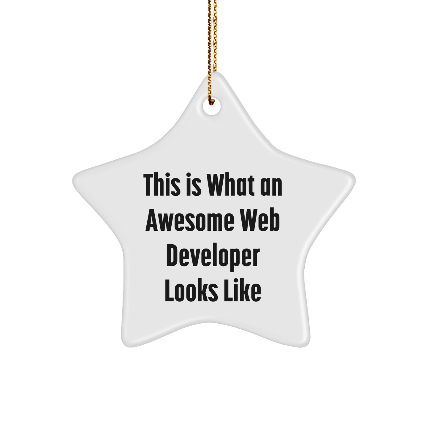 Funny Web Developer Gifts from Men to Friends - This Is What An Awesome Web Developer Looks Like Star Ornament for Christmas - Victory Thru Vision
