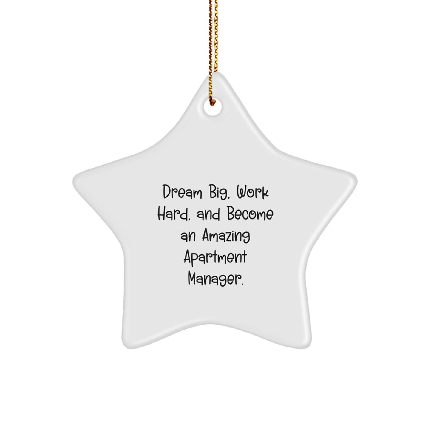 Gifts from Friends for Apartment Manager - Inspirational Star Ornament, 'Dream Big, Work Hard, And Become An Amazing Apartment Manager.' - Unique Christmas Unique Gifts - Victory Thru Vision