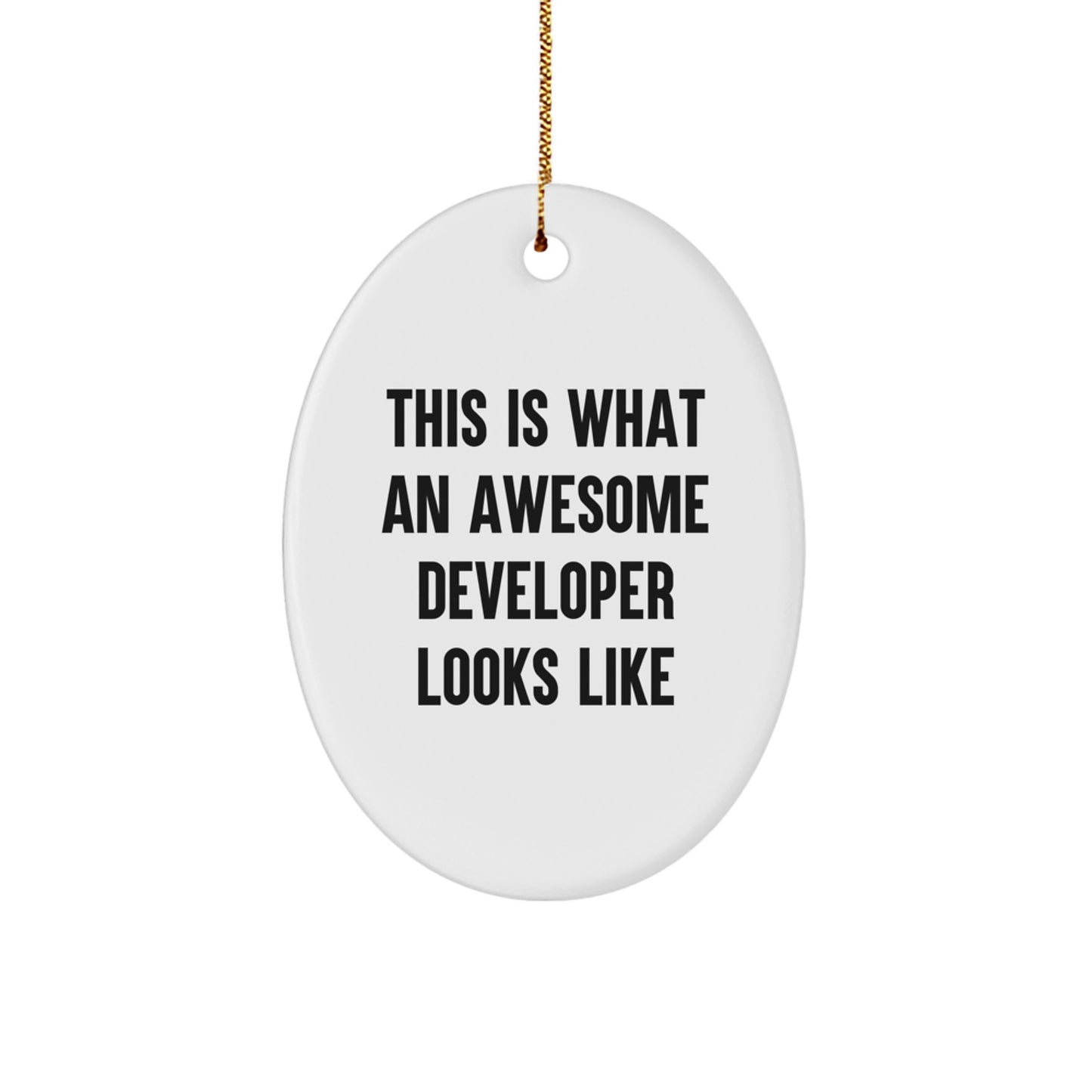 Funny Developer Gifts, Oval Ornament, 'This Is What An Awesome Developer Looks Like', Gifts from Family to Developer at Christmas, Christmas Unique Gifts for Developer - Image 1