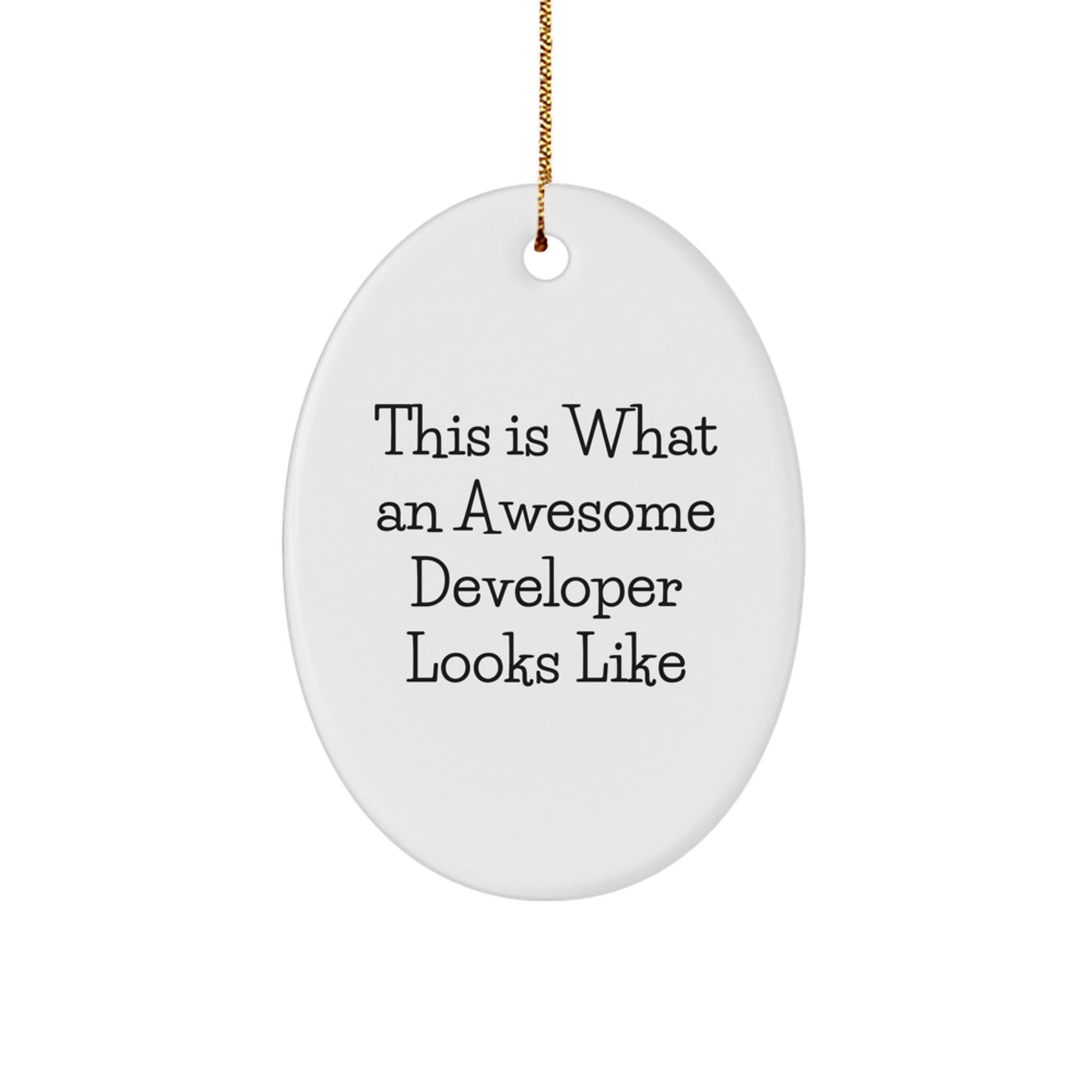 Funny Developer Gifts, Christmas Unique Oval Ornament Gifts from Men to Developer Friends - Image 1