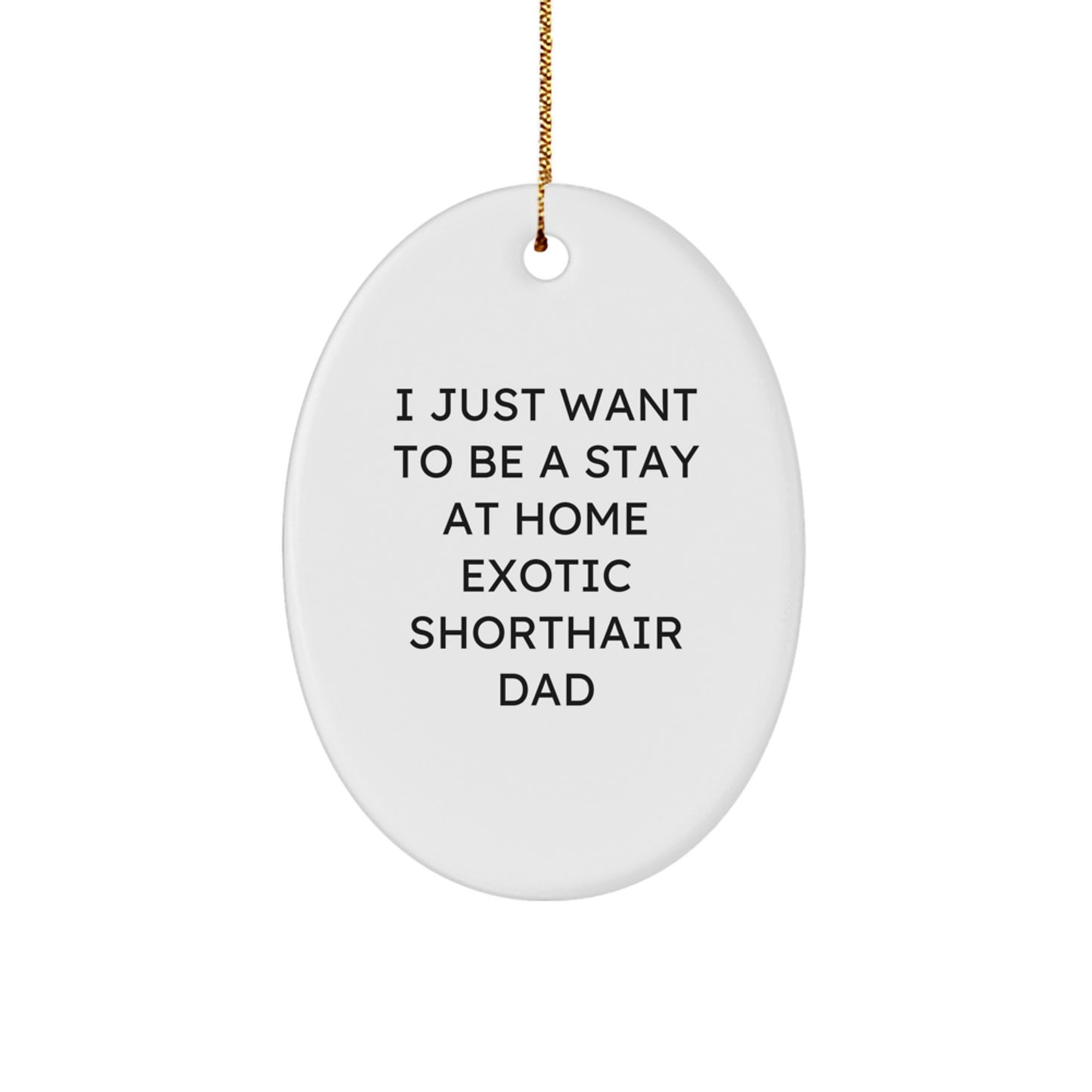 Funny Exotic Shorthair Cat Dad Gifts Unique Oval Ornament for Exotic Shorthair Cat Lovers, Christmas Unique Gifts from Dad to Exotic Shorthair Cat Parents - Image 1