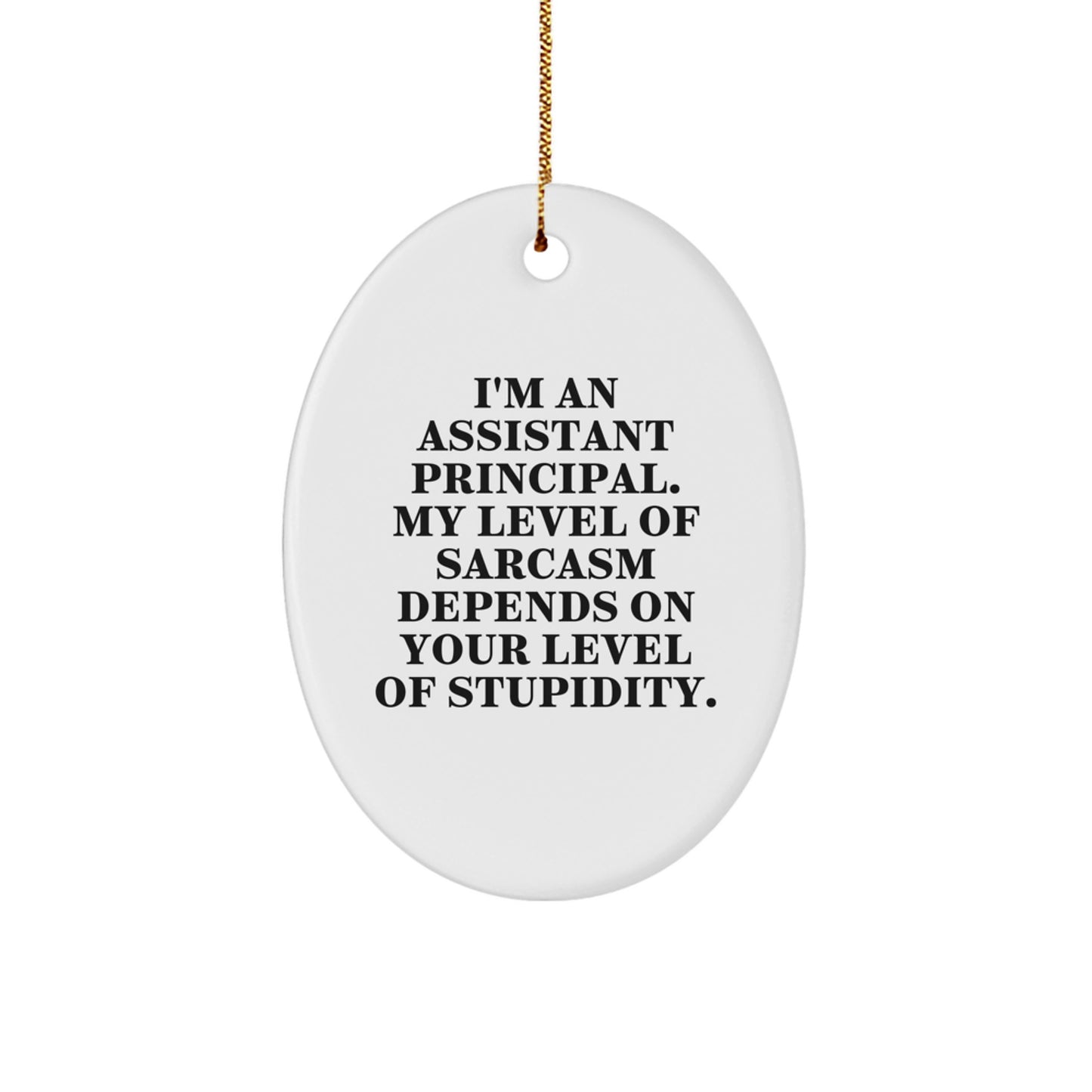 Funny Assistant Principal Gifts for Men, Oval Ornament, Christmas Unique Gifts from Friends, Coworkers, with Sarcastic Quote - Image 1
