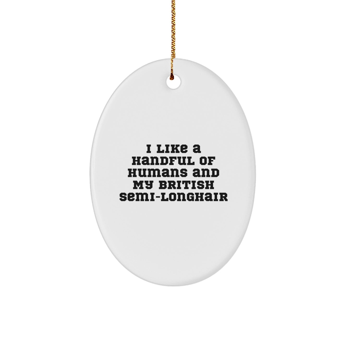 Funny British Semi-Longhair Cat Oval Ornament Gifts from Men Friends, for British Semi-Longhair Cat Owners, Unique Christmas Unique Gifts - Image 1