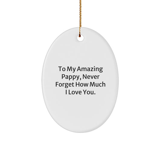 Funny Oval Ornament Gifts from Family to My Amazing Pappy, Never Forget How Much I Love You, Christmas Unique Gifts - Image 1