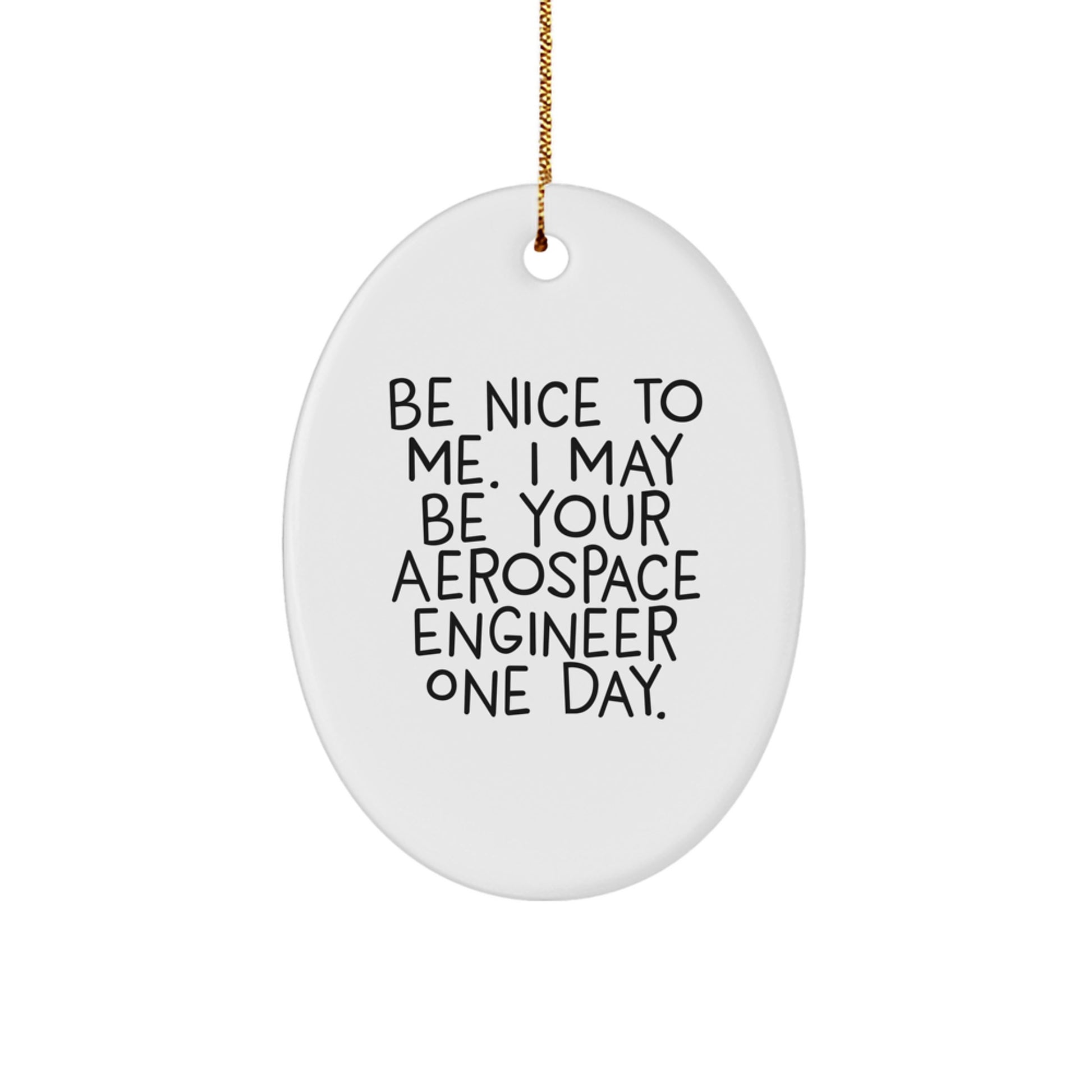 Aerospace Engineer Oval Ornament Funny Quote Gift for Men Women Friends Coworkers - Be Nice To Me One Day - Oval Shaped MDF Wood - Image 1