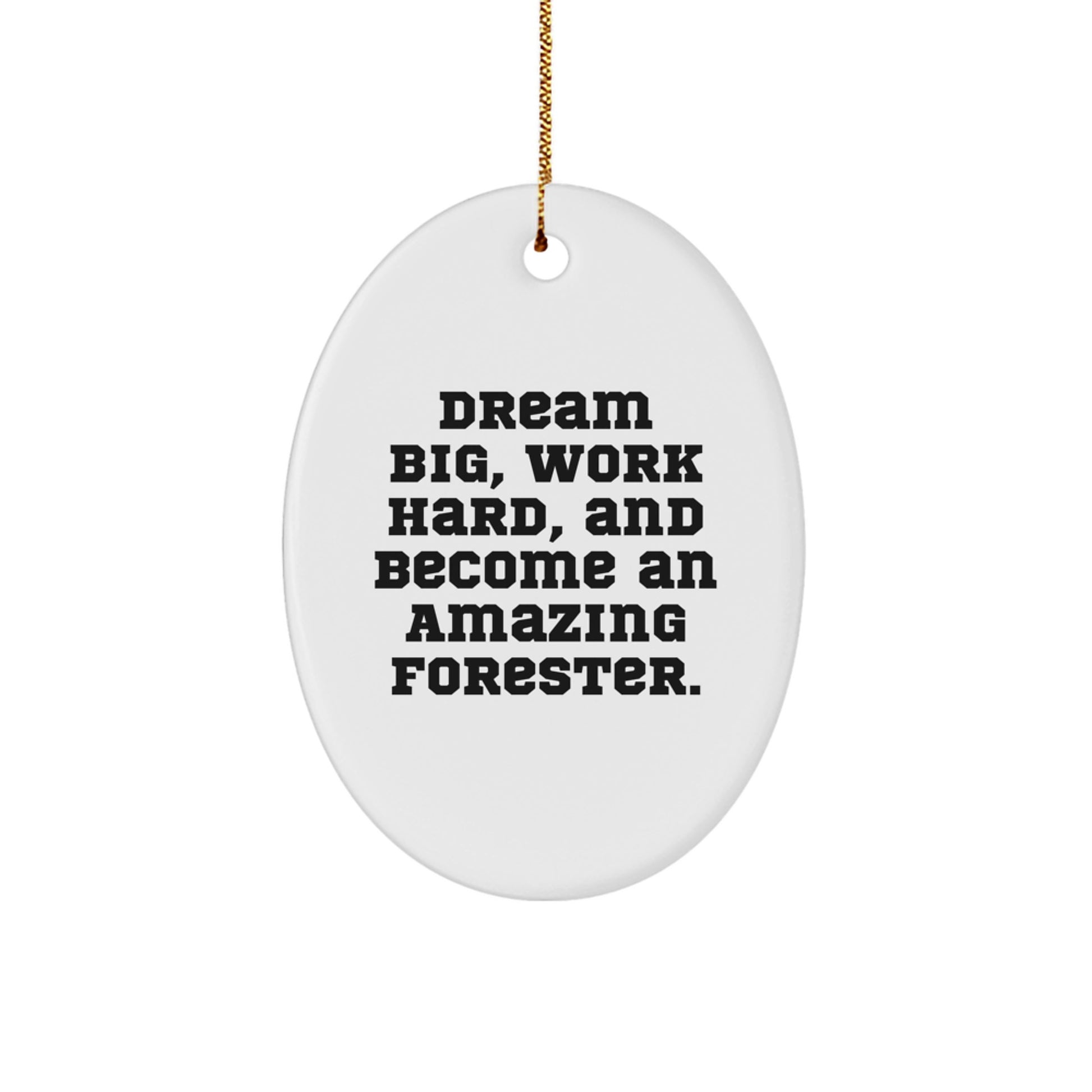 Funny Forester Gifts for Friends, Christmas Unique Gifts for Men, Oval Ornament with Dream Big Quote - Image 1