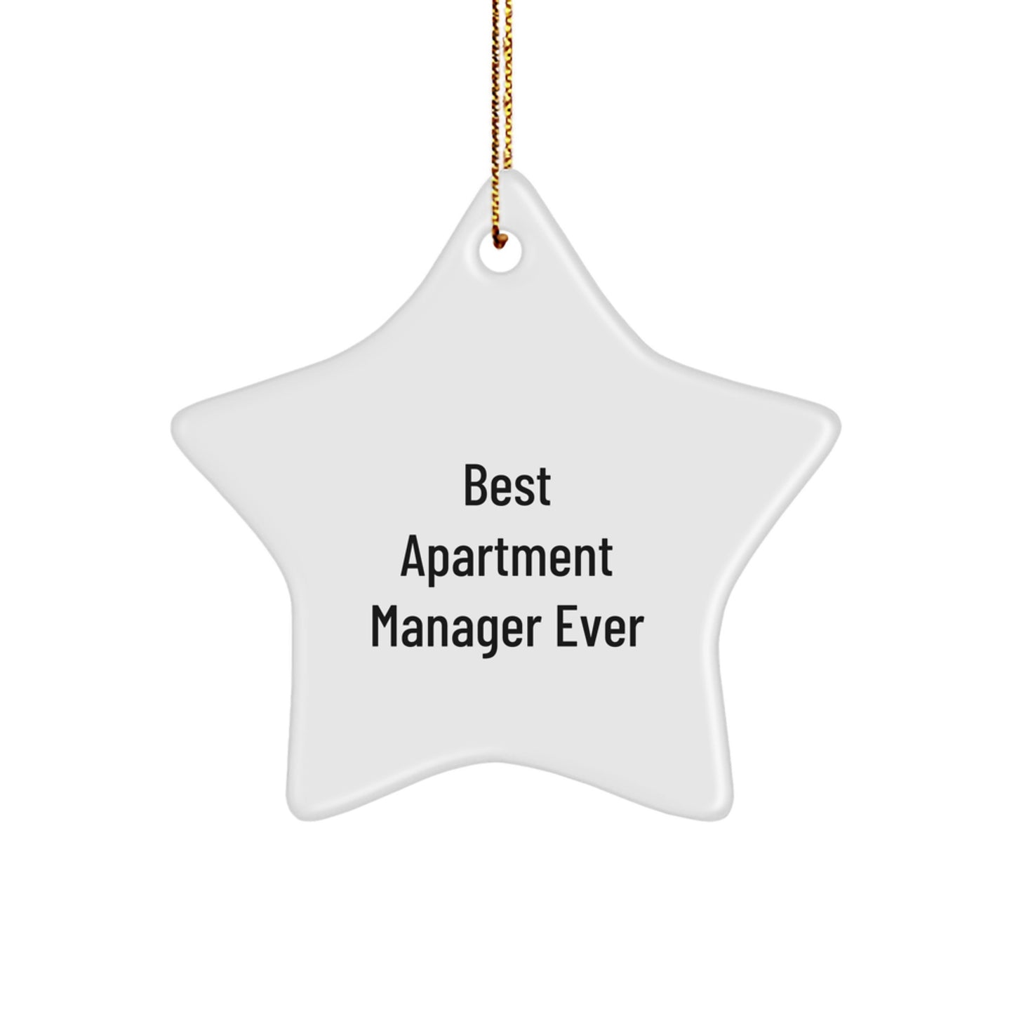 Funny Funny Gifts from Men to Apartment Manager Christmas Star Ornament Best Apartment Manager Ever - Image 1