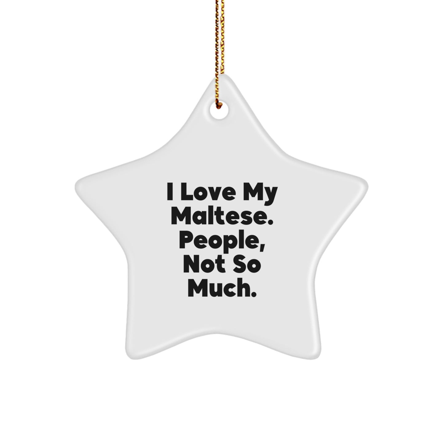 Maltese Dog Star Ornament Funny Quote Gifts from Family for Home Decor Christmas Unique - Image 1