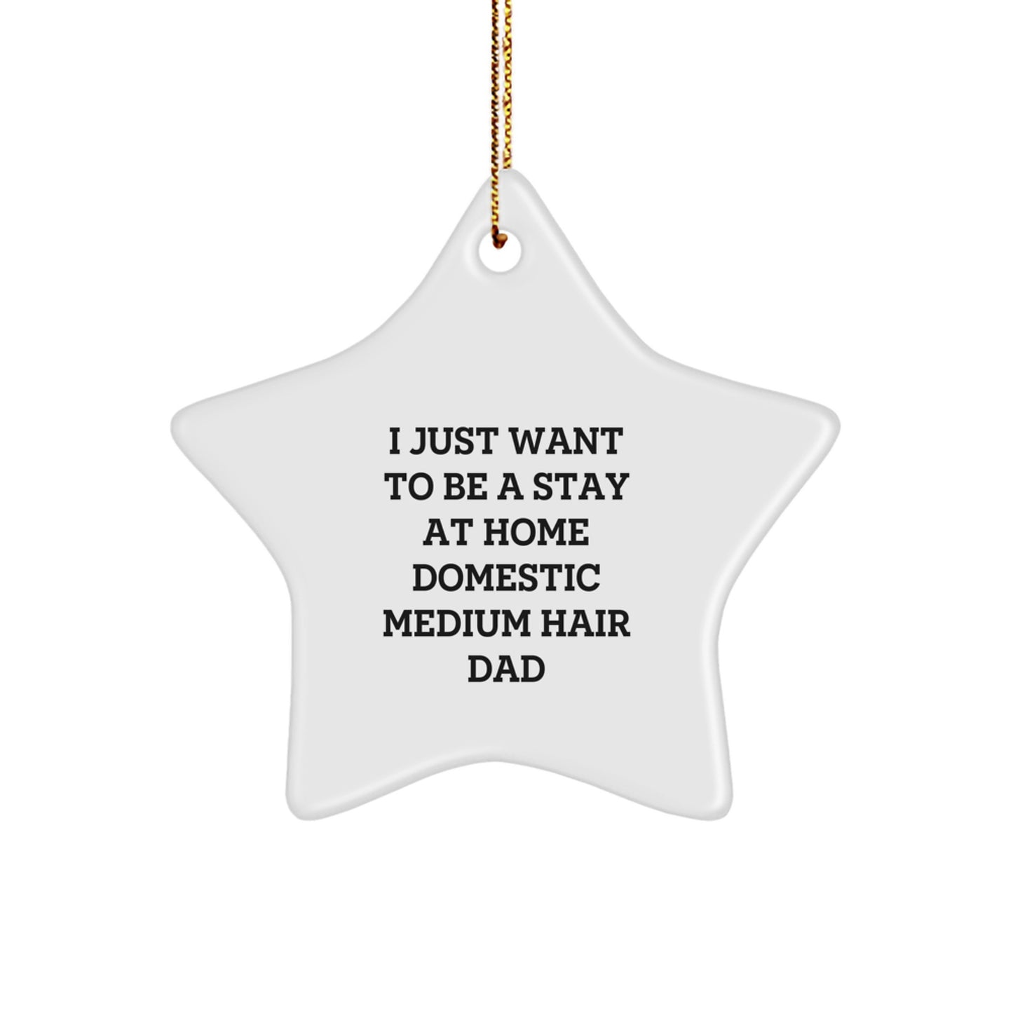 Funny Domestic Medium Hair Dad Star Ornament Gifts from Friends Family, Unique Christmas Decorations for Domestic Medium Hair Dad, Stay At Home Dad Star Shaped Decoration - Image 1