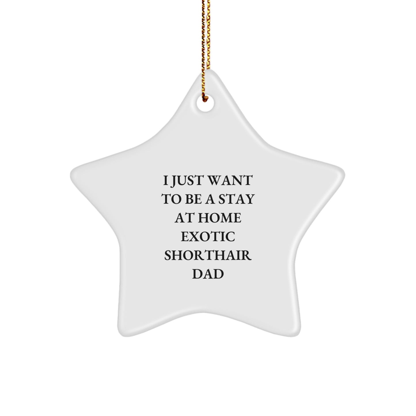 Funny Exotic Shorthair Cat Gifts for Christmas - Star Ornament for Dad - I Just Want To Be A Stay At Home Exotic Shorthair Dad - Image 1