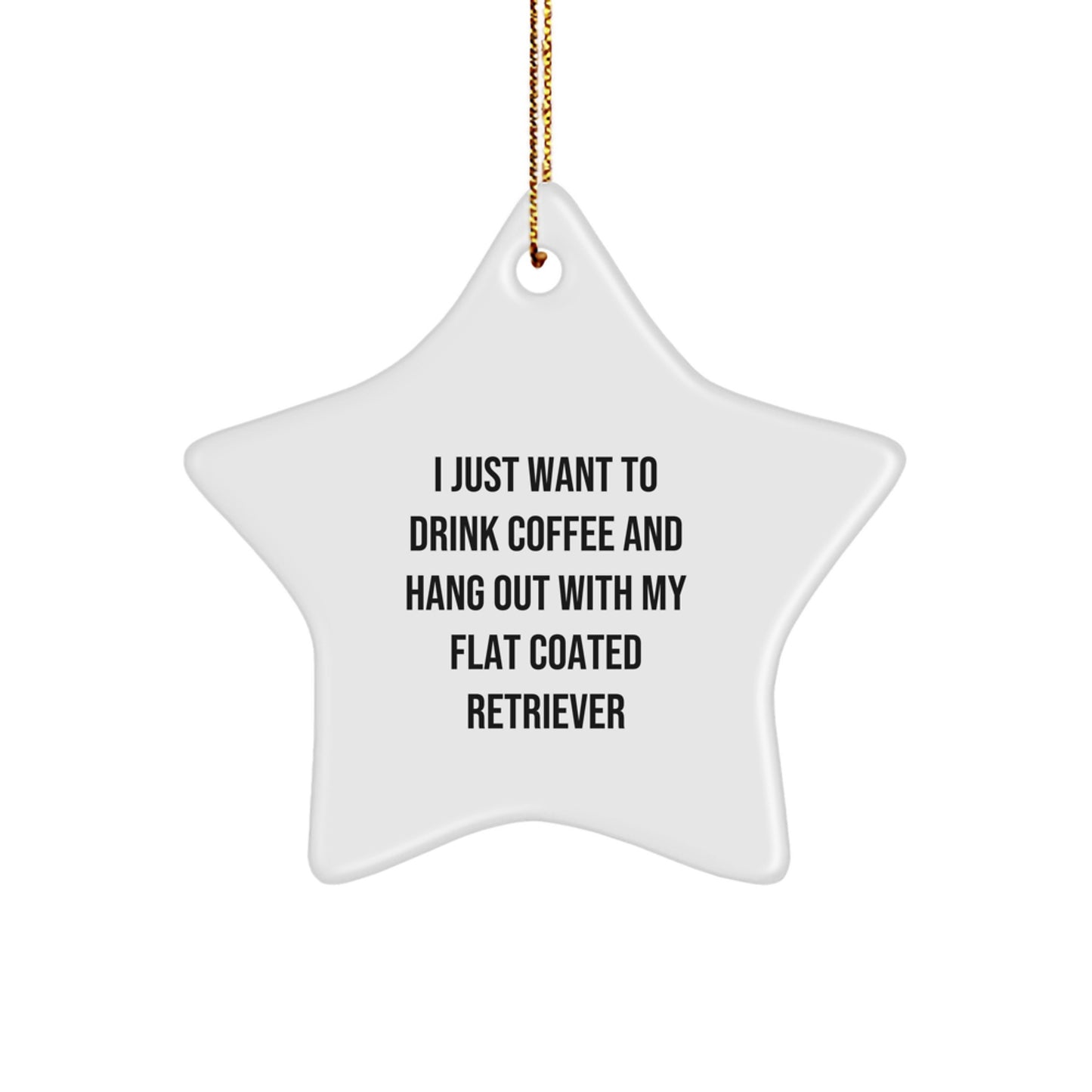 Funny Flat Coated Retriever Dog Gifts from Men to Friends - I Just Want To Drink Coffee And Hang Out With My Flat Coated Retriever Star Ornament for Christmas - Image 1