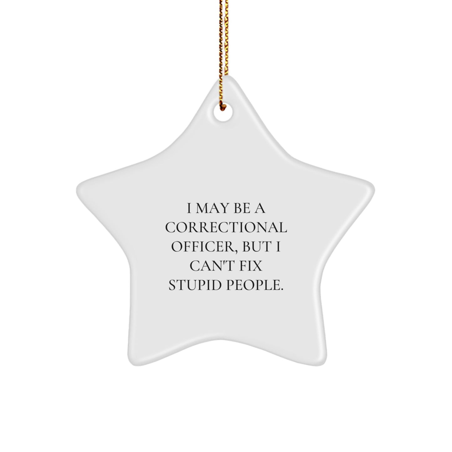 Funny Correctional Officer Gifts for Him, Star Ornament, I May Be A Correctional Officer, But I Can't Fix Stupid People, Christmas Unique Gifts from Family Friends - Image 1