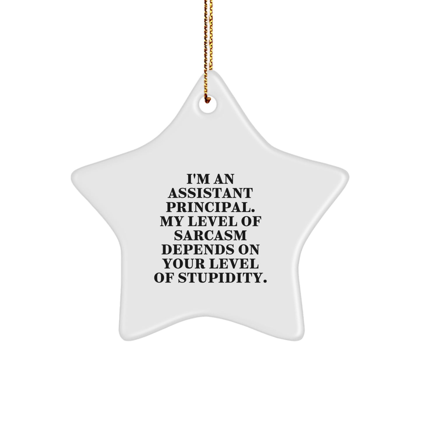 Gifts from Friends for Assistant Principals - Funny Sarcasm Star Ornament, Assistant Principal Gifts for Christmas Unique - Image 1