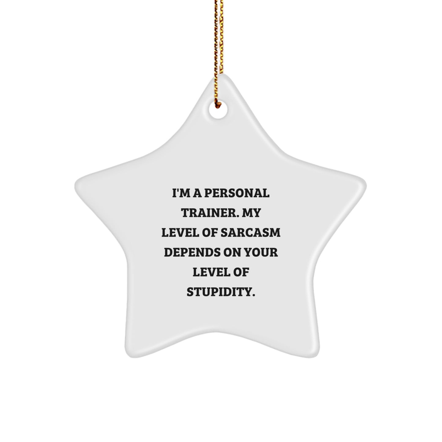 Funny Personal Trainer Gifts from Men - 'I'm a Personal Trainer' Star Ornament for Christmas Unique Gifts, Funny Star Ornament for Personal Trainers by Friends, Coworkers, or Family - Image 1