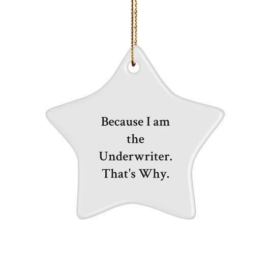 Underwriter Christmas Unique Gifts from Friends, Funny Star Ornament Because I Am The Underwriter That's Why, Underwriter Men Gifts - Image 1