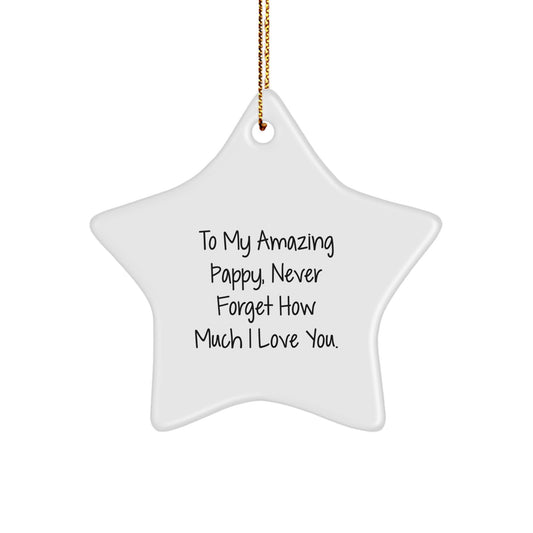 Funny Pappy Gifts from a Family Member, Star Ornament for Dad, 'To My Amazing Pappy' Quote, Perfect for Christmas Unique Gifts - Image 1