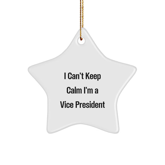 Funny Vice President Star Ornament Gifts from Friends for Him at Christmas - Image 1